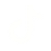 TikTok Icon